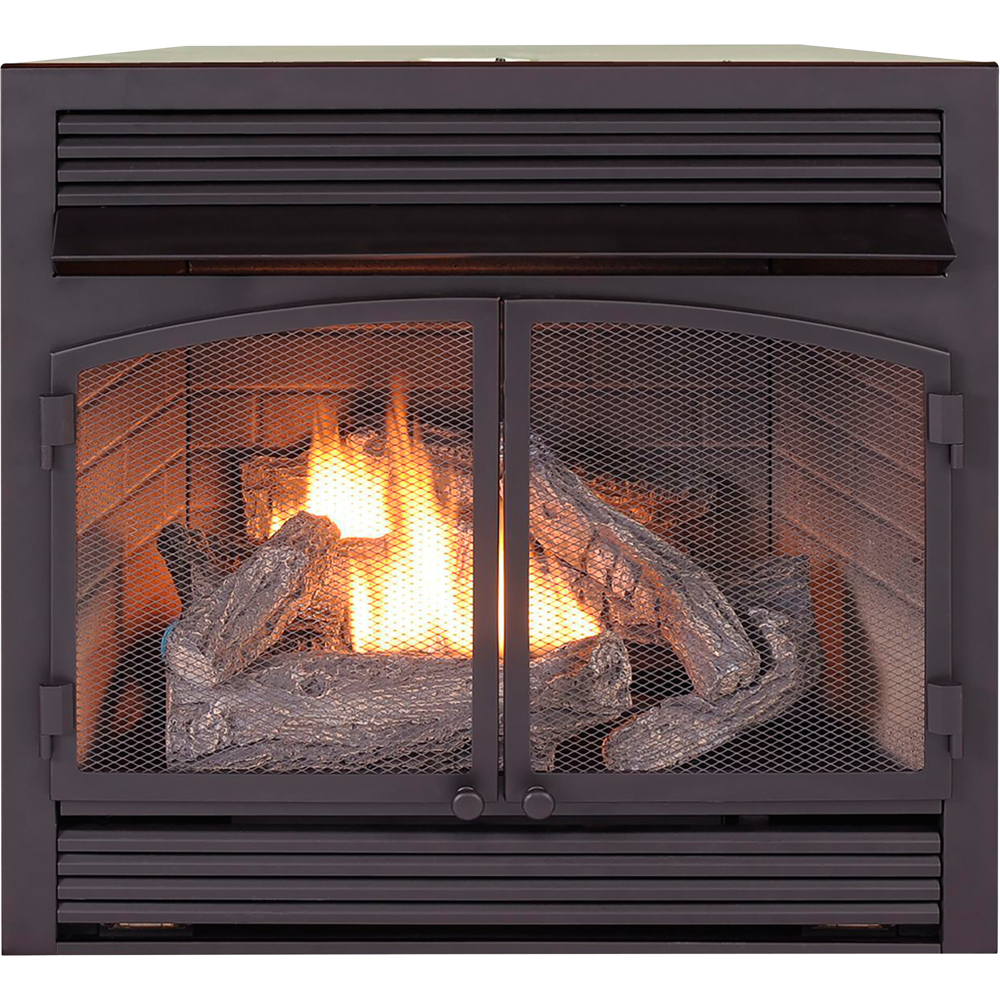 Bluegrass Living Vent-Free Dual Fuel Fireplace Insert, 32,000 BTU, Black, Remote Control, Model# FDF400RT-ZC
